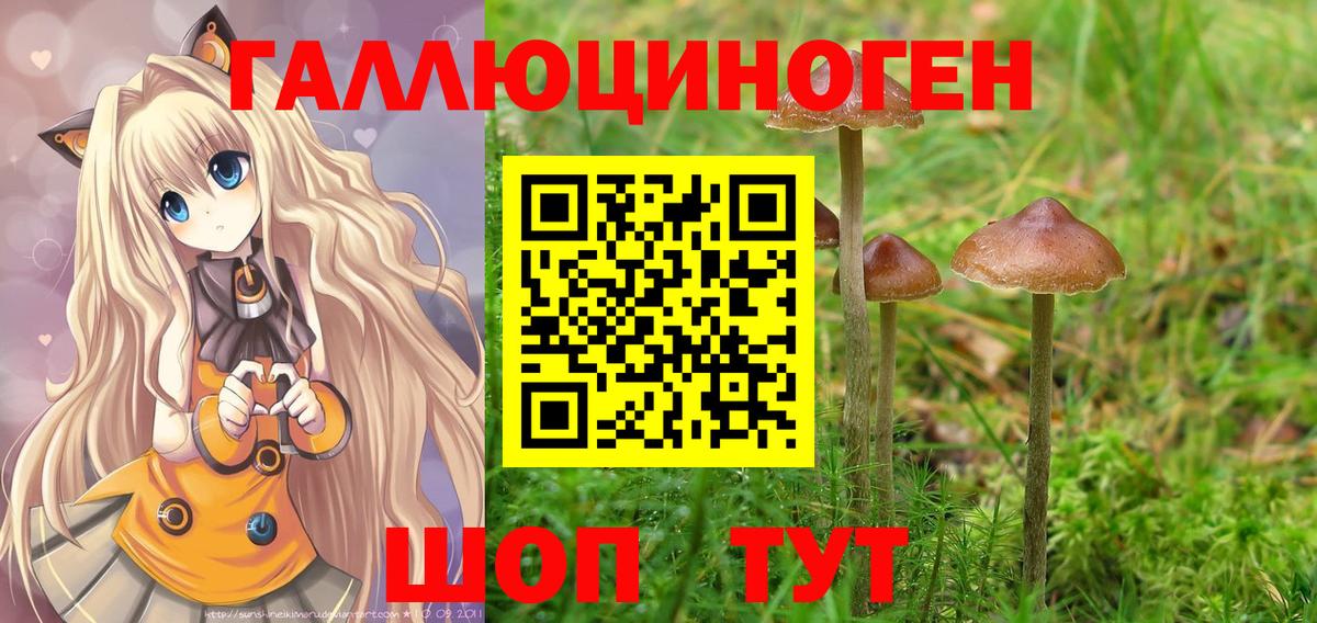 МЕФ Печора