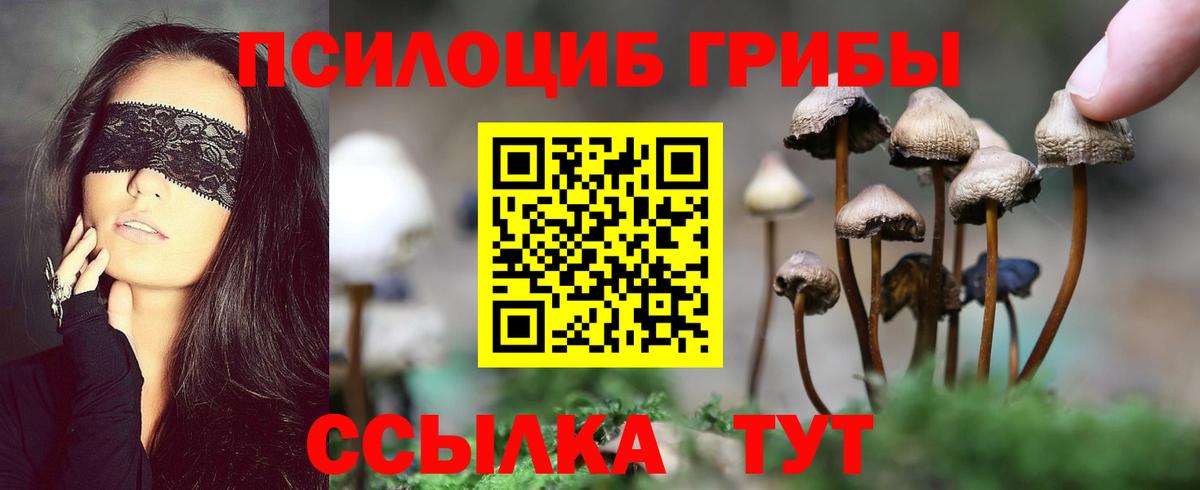 Галлюциногенные грибы MAGIC MUSHROOMS  Псилоцибиновые грибы мухоморы  Печора  Вход с VPN 